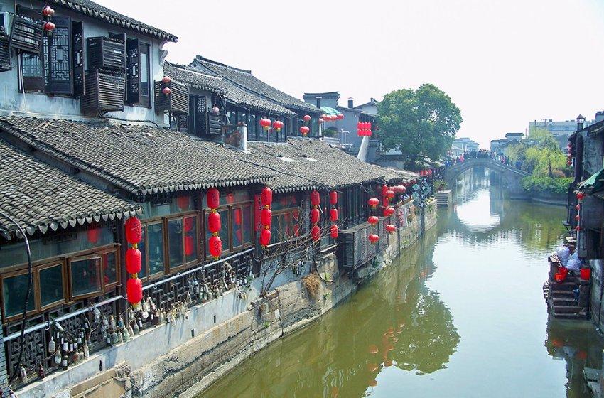 逃离马儿森林